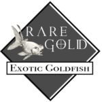Rare Goldfish